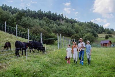 Cattle Closes Mostly Higher on Friday